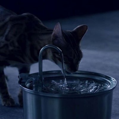 fontaine-a-eau-chat-silencieuse-glouglou