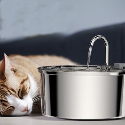 fontaine-a-eau-chat-utile-glouglou