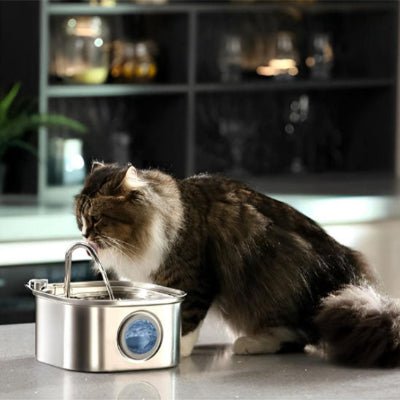 fontaine-a-eau-chat-design-hydrocat