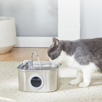 fontaine-a-eau-chat-inox-hydrocat