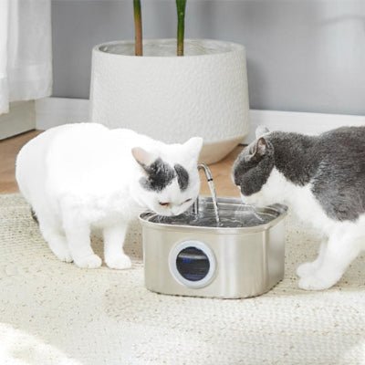 fontaine-a-eau-chat-large-hydrocat