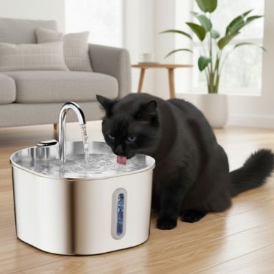 fontaine-a-eau-chat-inox-fonctionnelle