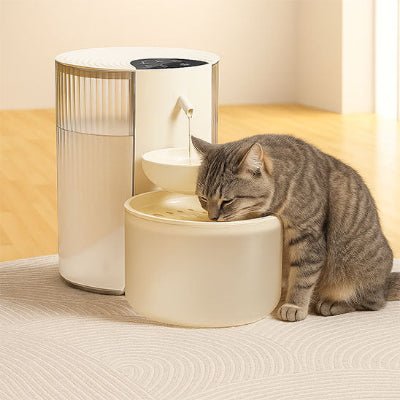fontaine-a-eau-chat-utile-vitalizen