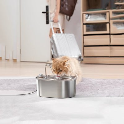 fontaine-a-eau-pour-chat-design-chatpero