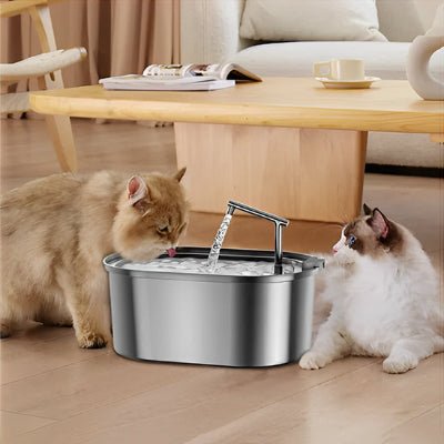 fontaine-a-eau-pour-chat-pratique-chatpero