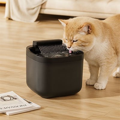 fontaine-à-eau-pour-chat-rafraichissante-pethydrate