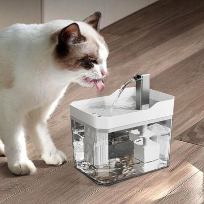 fontaine-a-eau-pour-chat-smart-purachat