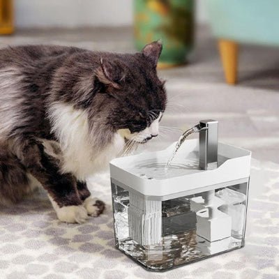 fontaine-a-eau-pour-chat-hygiénique