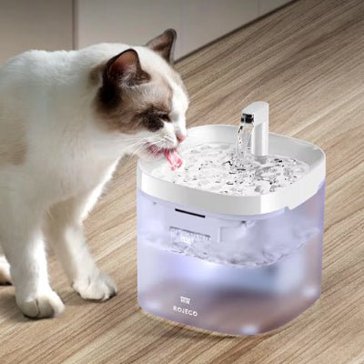 fontaine-a-eau-pour-chat-design