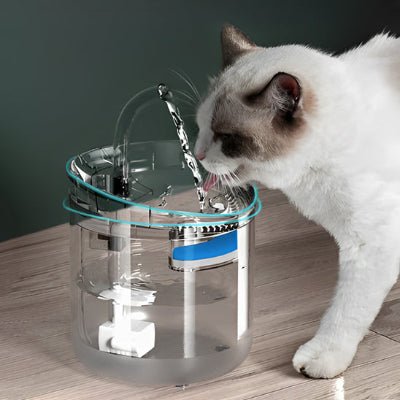 fontaine-a-eau-pour-chat-utile-miaoujito