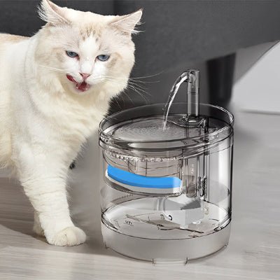 fontaine-a-eau-pour-chat-pratique-miaoujito