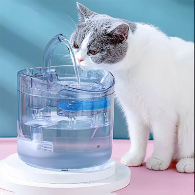 fontaine-a-eau-pour-chat-performante-miaoujito