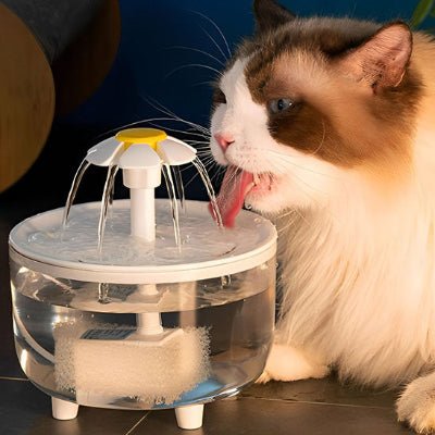 fontaine-a-eau-chat-utile-hydro