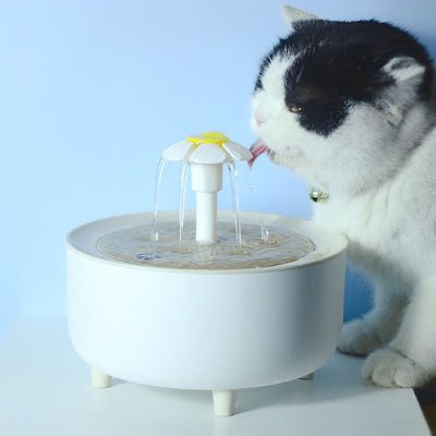fontaine-a-eau-chat-blanc-hydro