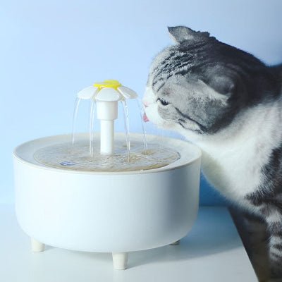 fontaine-a-eau-chat-performante-hydro