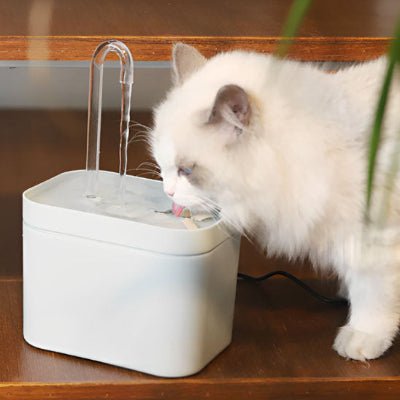 fontaine-eau-pour-chat-blanc-aquazen