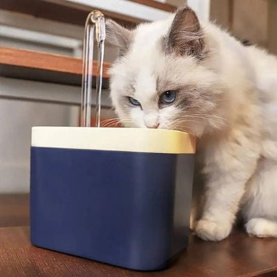 fontaine-eau-pour-chat-performante-aquazen