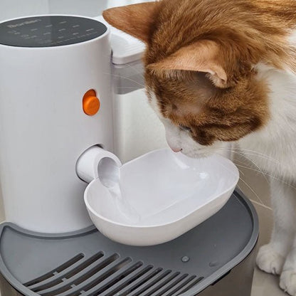 Fontaine eau pour chat | CascadeDouce™ - Patte à Chat