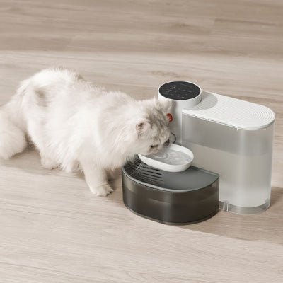 fontaine-eau-pour-chat-cascadedouce-moderne
