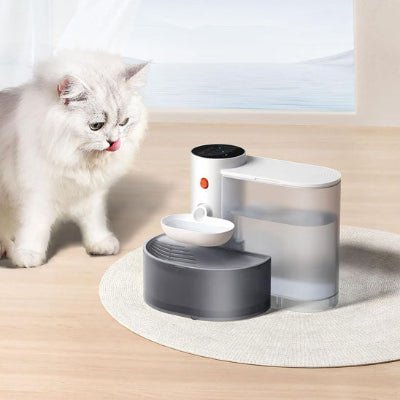 fontaine-eau-pour-chat-cascadedouce-intelligente