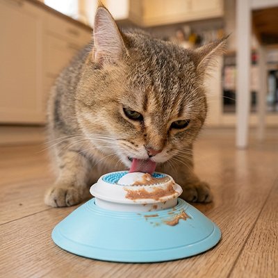 gamelle-anti-glouton-chat-anti-anxiété