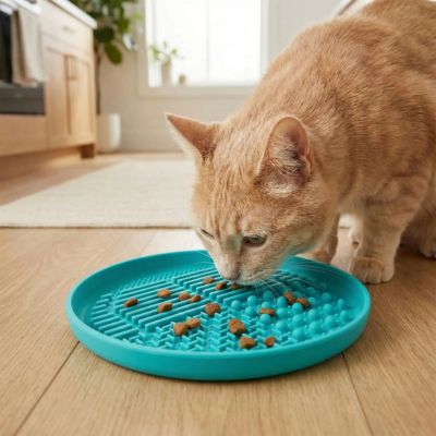 Gamelle anti glouton chat | FéliSlow