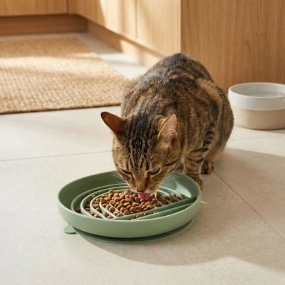 Gamelle anti glouton chat | FéliSlow