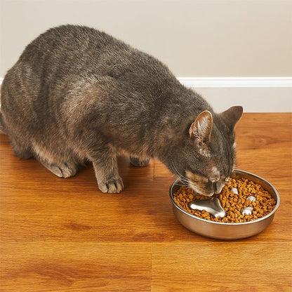 Gamelle anti glouton chat anti gourmandise