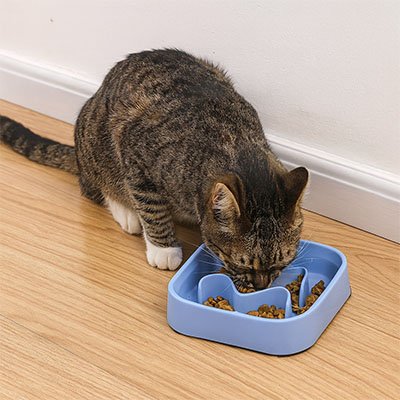 Gamelle anti glouton Chat bleu carré