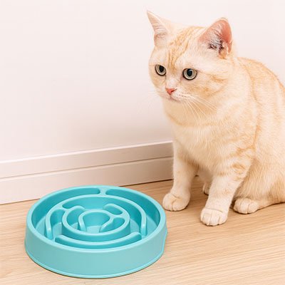Gamelle anti glouton chat bleu pratique