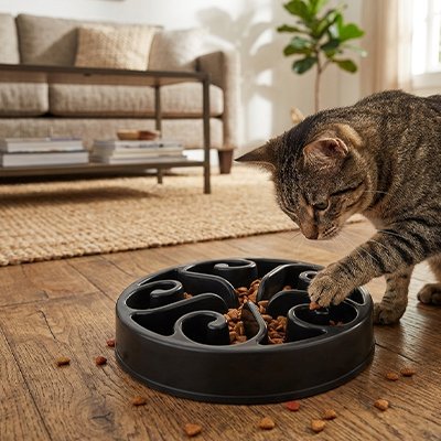 gamelle-anti-glouton-chat-ergonomique-anti-stress