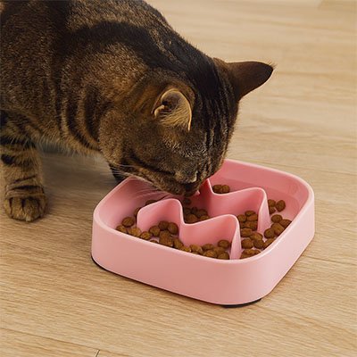 Gamelle anti glouton Chat ergonomique rose