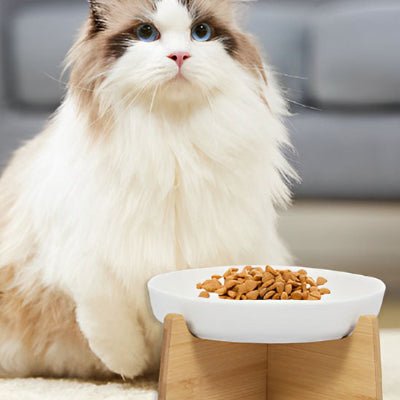 gamelle-anti-glouton-chat-chic
