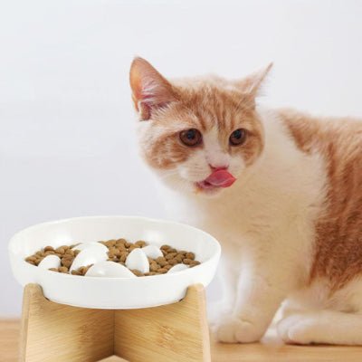 gamelle-anti-glouton-chat-tendance