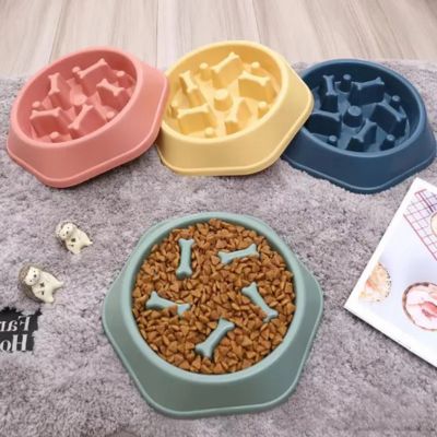 gamelle-anti-glouton-chat-tricolor-stopglouton