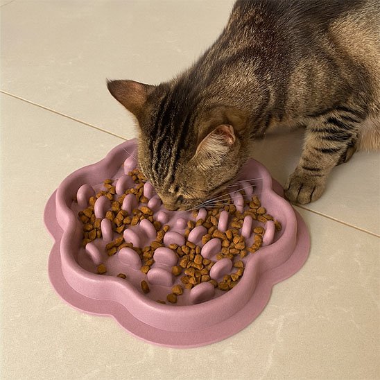 gamelle anti glouton Chat stressé