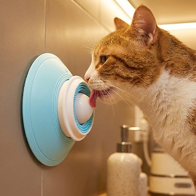 gamelle-anti-glouton-chat-toute-surface