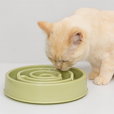 Gamelle anti glouton chat verte pratique