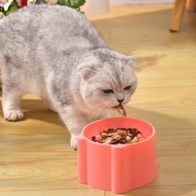 gamelle-anti-glouton-chat-pratique-zigzagcroq