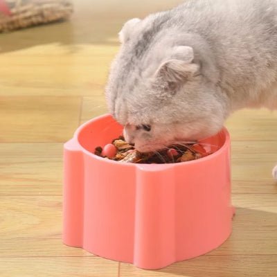 gamelle-anti-glouton-chat-utile-zigzagcroq