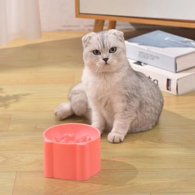 gamelle-anti-glouton-chat-chic-zigzagcroq