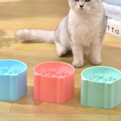 gamelle-anti-glouton-chat-fonctionnelle-zigzagcroq