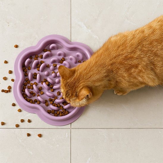 gamelle anti glouton Chat