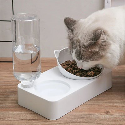 gamelle-chat-avec-distributeur-d-eau-design-simple