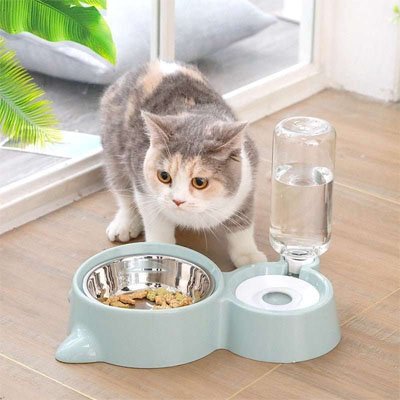 gamelle-chat-avec-distributeur-d-eau-ergonomique-simple