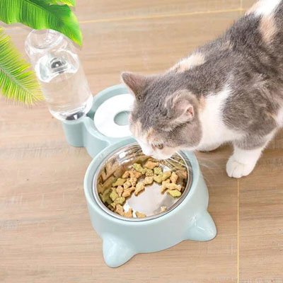 gamelle-chat-avec-distributeur-d-eau-ergonomique-vert-pastel 