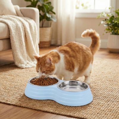 Gamelle chat en inox | Anti-Régurgitation