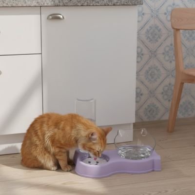 gamelle-chat-bol-et-distributeur-d-eau-ergonomique