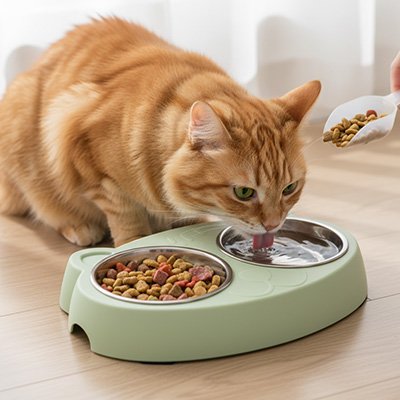 gamelle-chat-double-bol-pratique