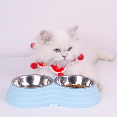 gamelle-chat-double-couleur-bleu